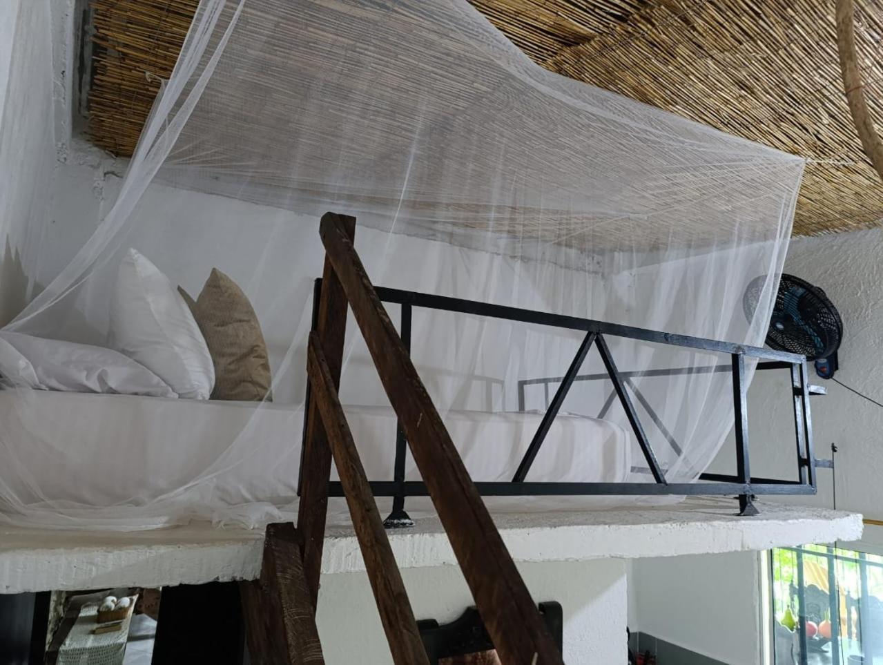 Casa Chill Out Hotel Minca Buitenkant foto
